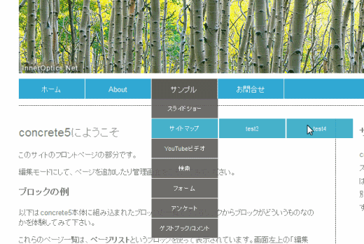 autonav_dropdown.png